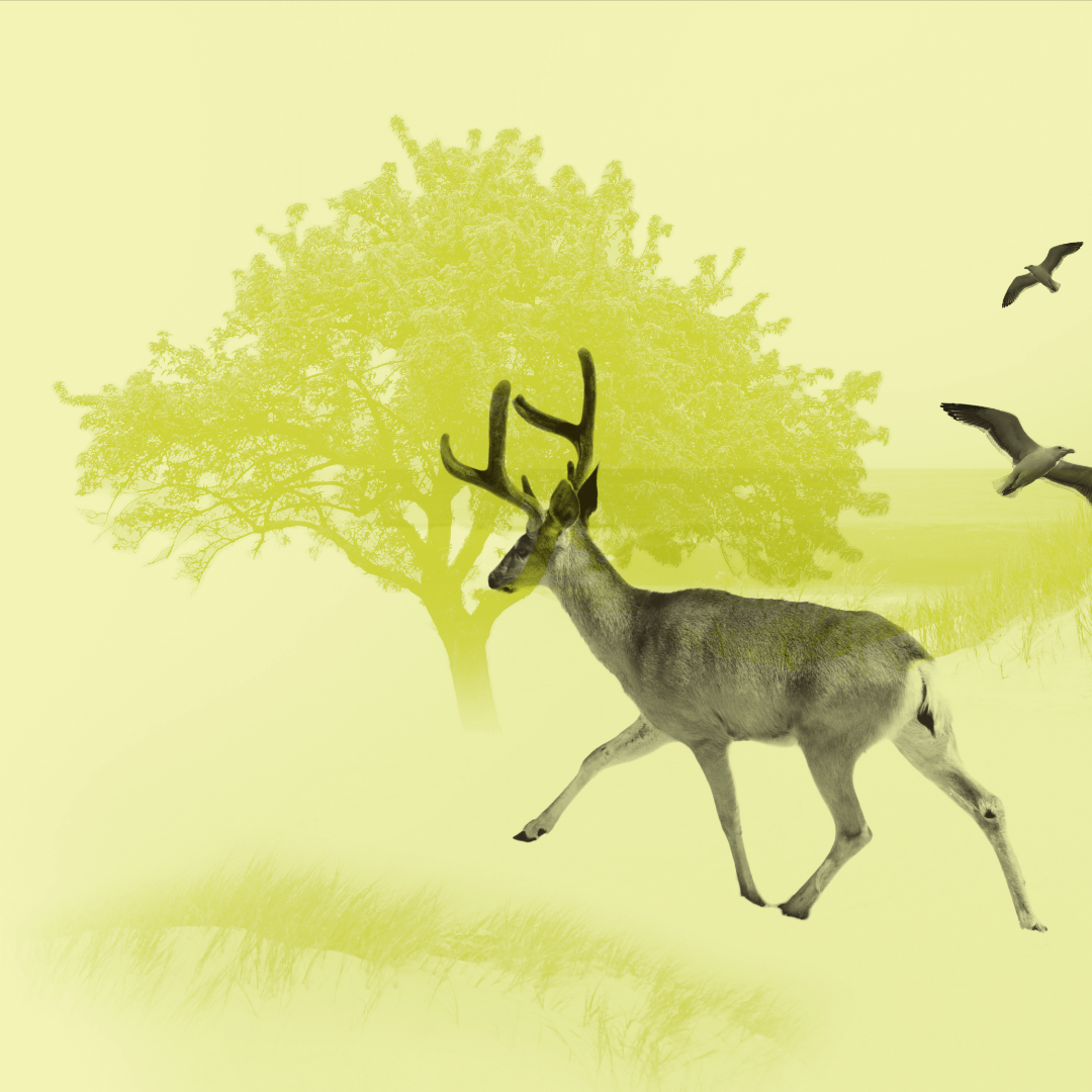 StudioGhost_BuitenlevenVakanties_1