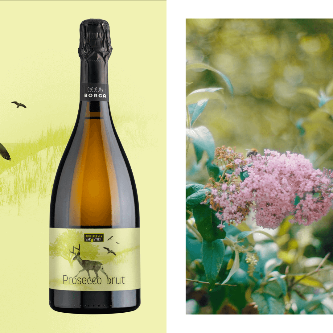 StudioGhost_BuitenlevenVakanties_2