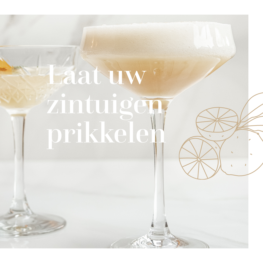 StudioGhost_Zenith_6 – 2